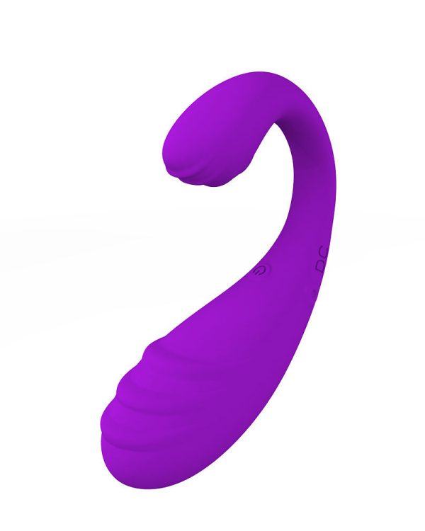 9 Speed APP Controlled Vaginal Vibrators G Spot Vibrating Egg Massager Wearable Stimulator Massage Toys For Women Couples